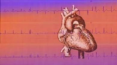 ​ابتكار لصقة قلبية لمراقبة عمل القلب بروسيا 